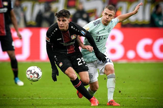 新的活力 新的活力